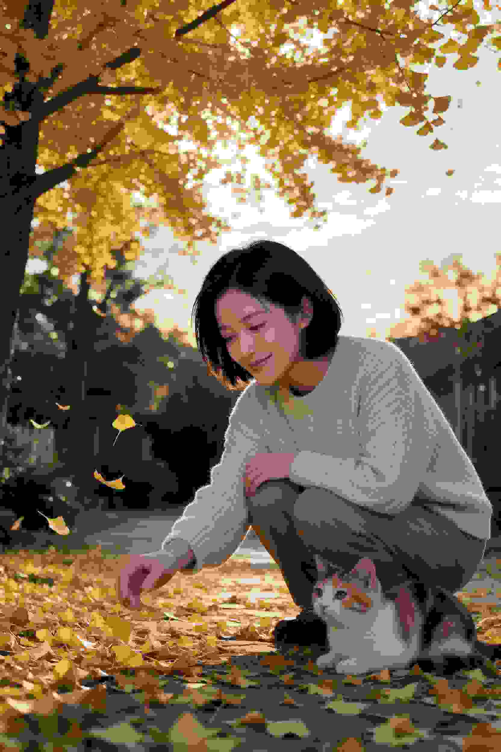 律师风云